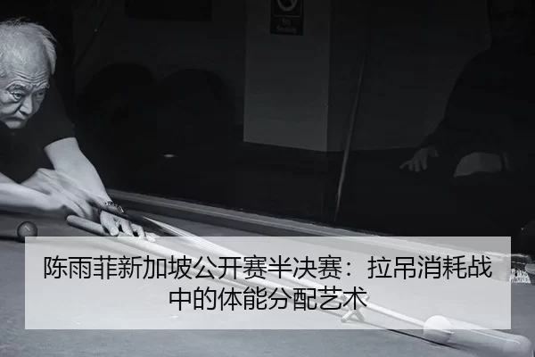 chen-yu-fei-xin-jia-po-gong-kai-sai-ban-jue-sai-la-diao-xiao-hao-zhan-zhong-de-ti-neng-fen-pei-yi-shu-2-736.jpg