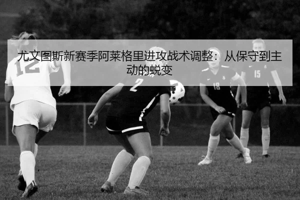 you-wen-tu-si-xin-sai-ji-a-lai-ge-li-jin-gong-zhan-shu-tiao-zheng-cong-bao-shou-dao-zhu-dong-de-tui-bian-2-389.jpg