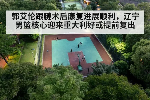 Chinese basketball player